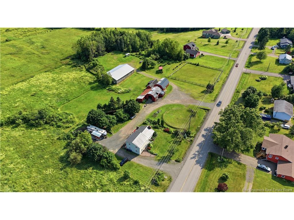 









252


Ammon

RD,
Ammon,




NB
E1G 3N8

