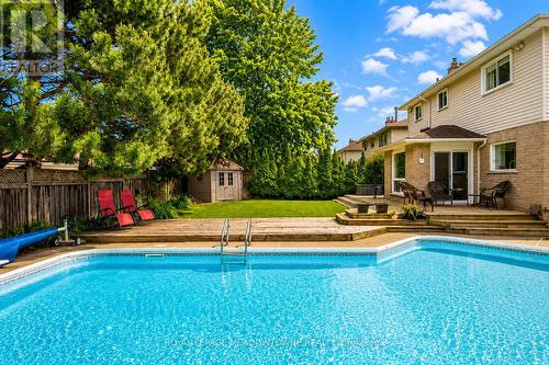 Huge Pool with Stairs for Entry & Diving Board