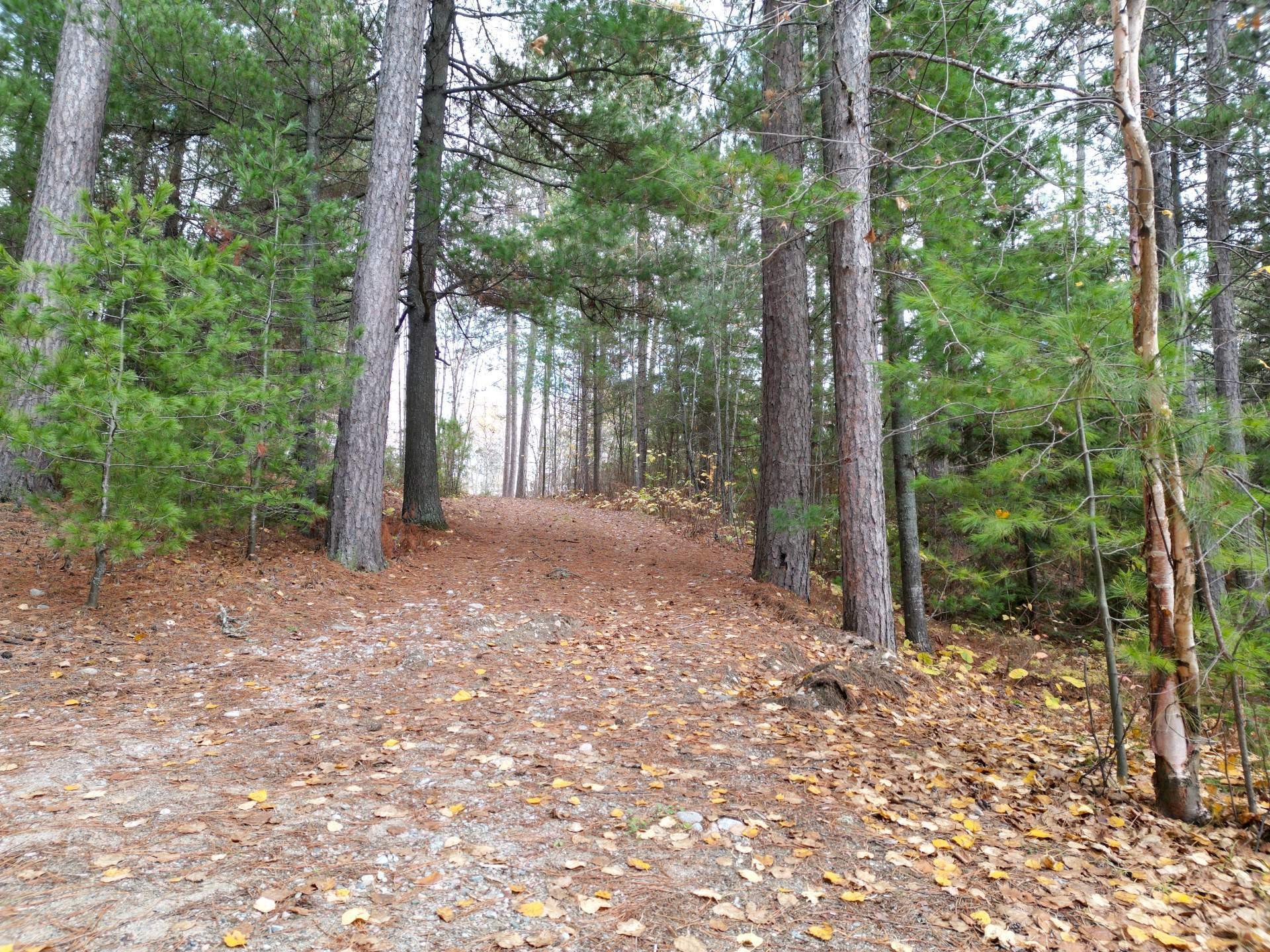 









497


Ch. du Lac-de-l'Argentier

,
Fugèreville,




QC
J0Z2A0

