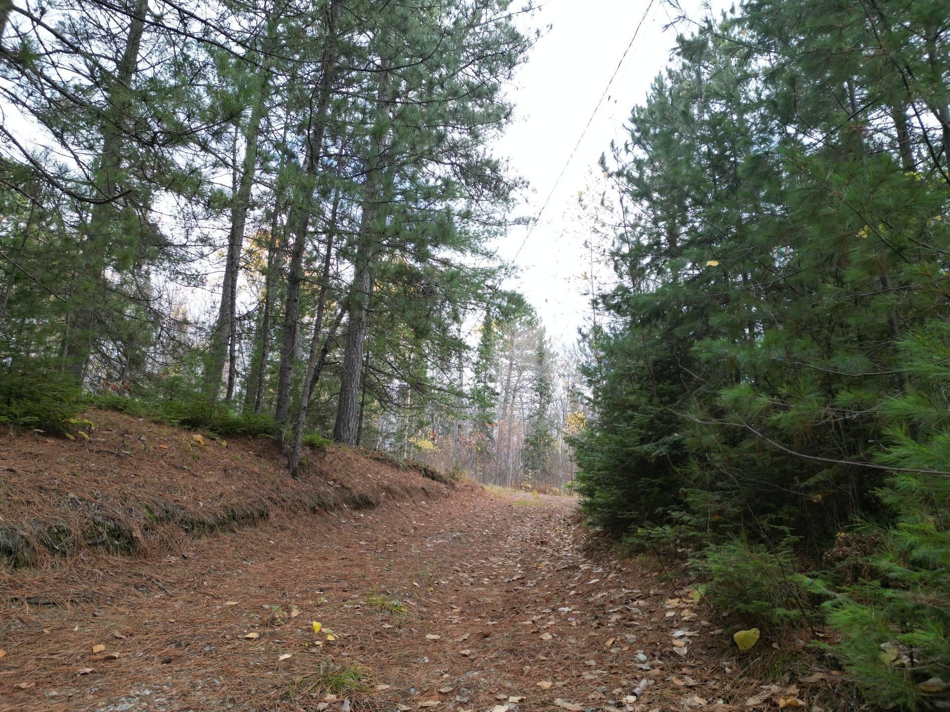 









497


Ch. du Lac-de-l'Argentier

,
Fugèreville,




QC
J0Z2A0

