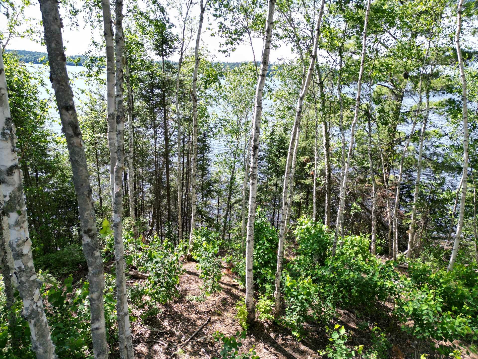 












Ch. de Grassy Narrow

,
Moffet,







QC
J0Z2W0

