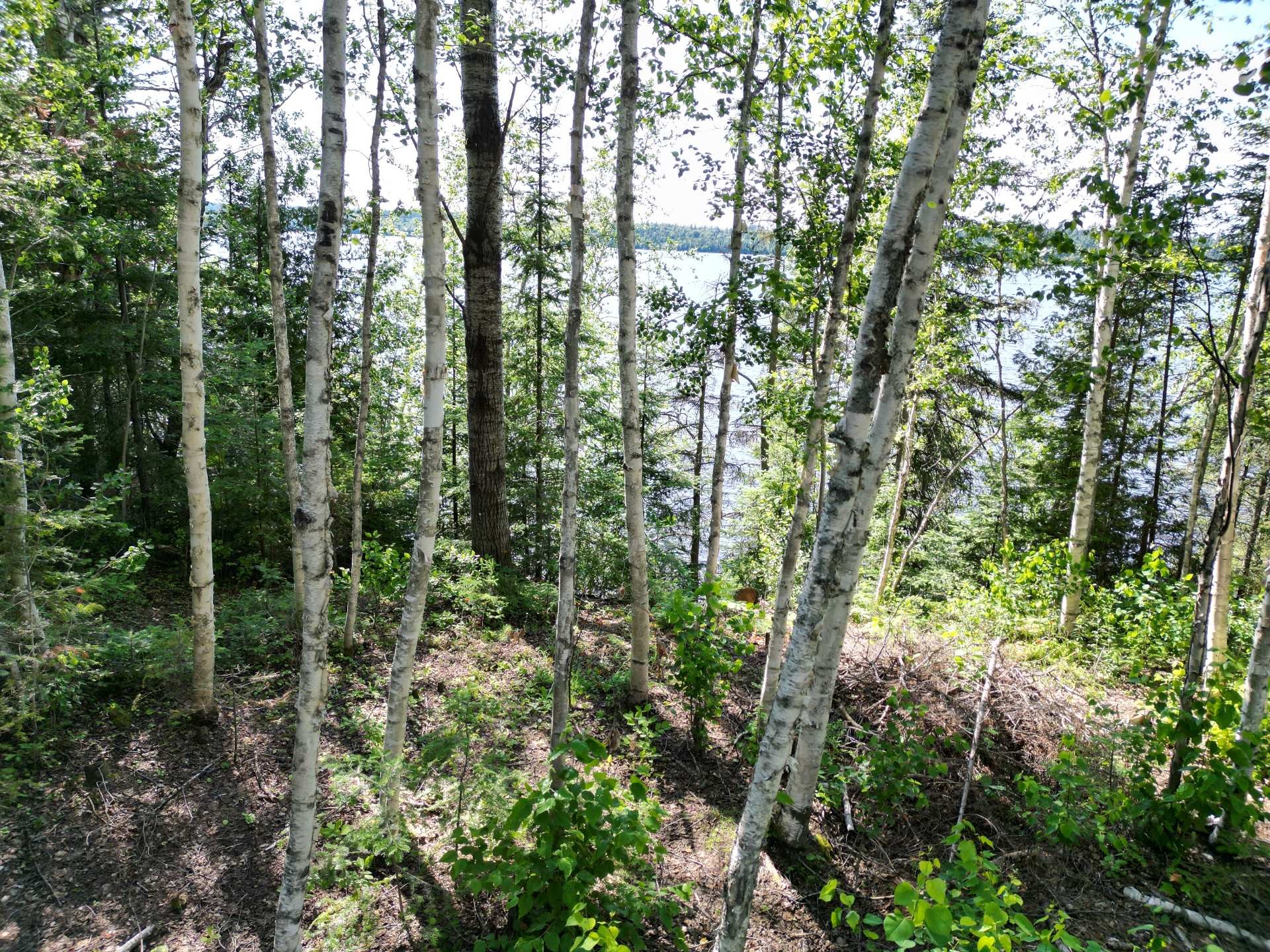 












Ch. de Grassy Narrow

,
Moffet,







QC
J0Z2W0

