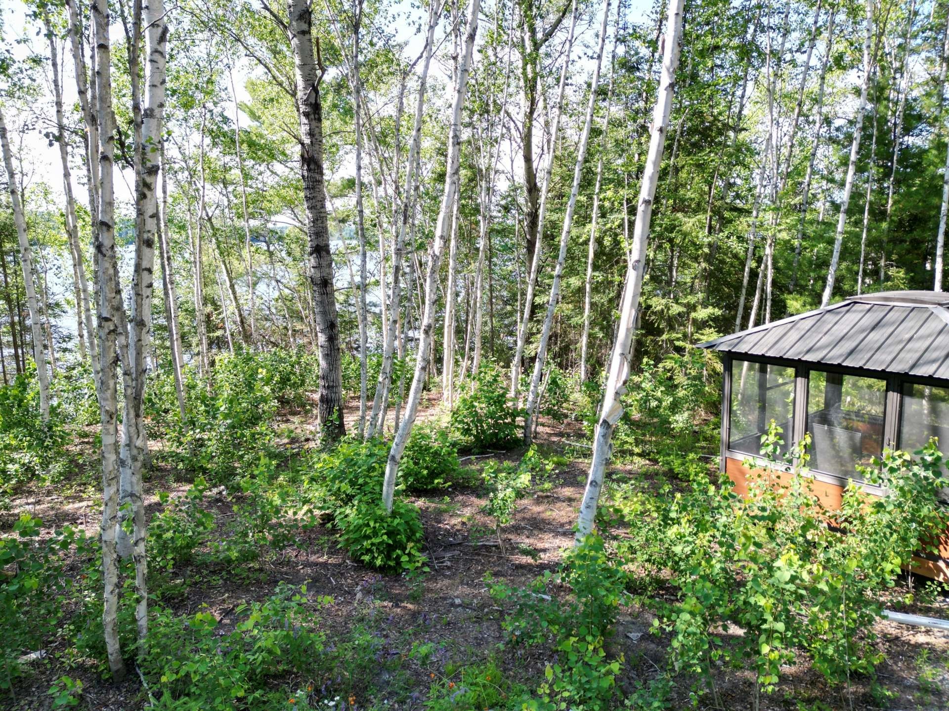 












Ch. de Grassy Narrow

,
Moffet,







QC
J0Z2W0

