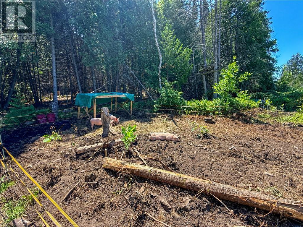 












514C East Road

,
Mindemoya, Manitoulin Island,







Ontario
P0P1S0

