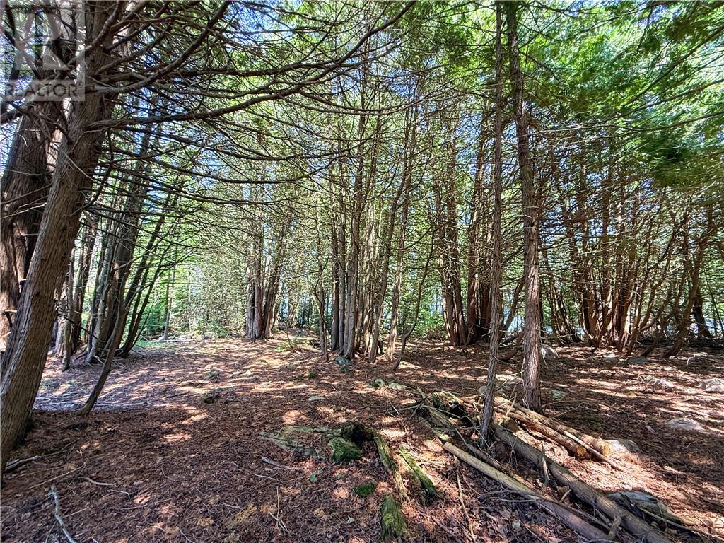 












514C East Road

,
Mindemoya, Manitoulin Island,







Ontario
P0P1S0

