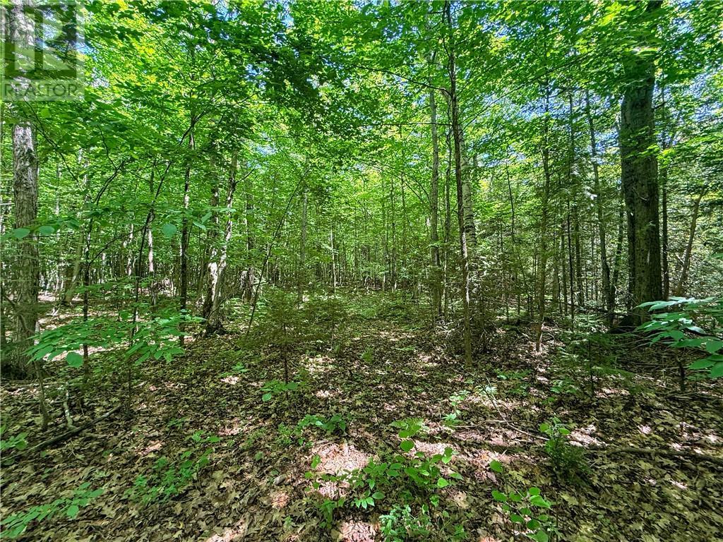 












514C East Road

,
Mindemoya, Manitoulin Island,







Ontario
P0P1S0

