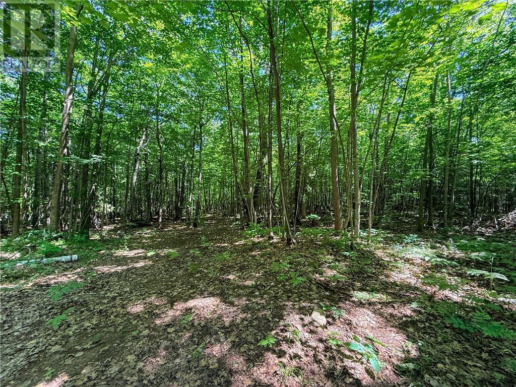 












514C East Road

,
Mindemoya, Manitoulin Island,







Ontario
P0P1S0

