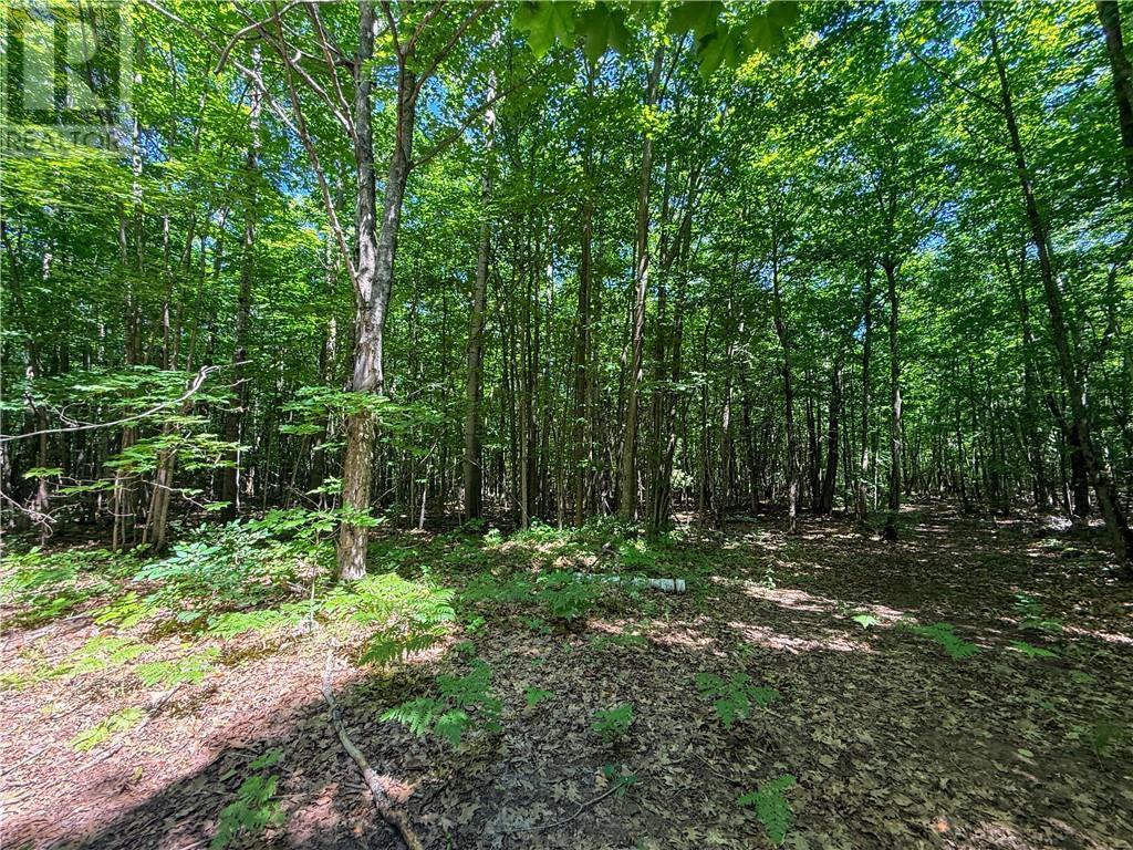 












514C East Road

,
Mindemoya, Manitoulin Island,







Ontario
P0P1S0

