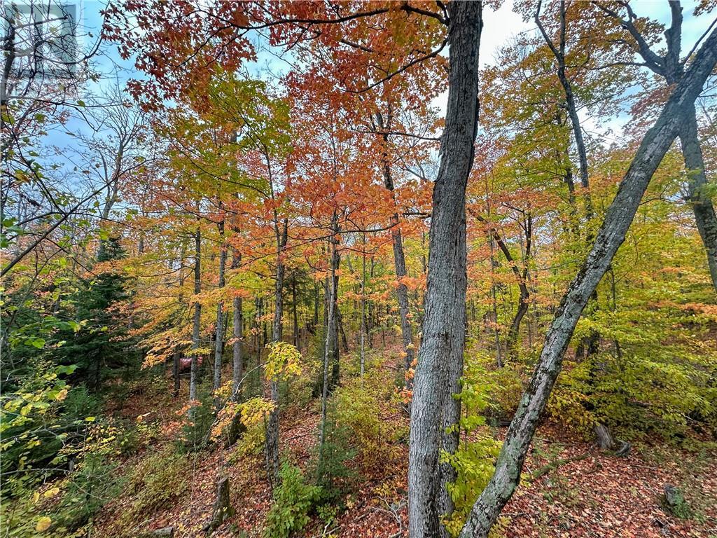 












514C East Road

,
Mindemoya, Manitoulin Island,







Ontario
P0P1S0

