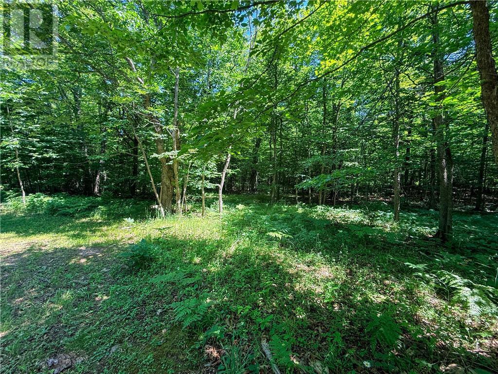












N/A McArthur Trail

,
Gore Bay, Manitoulin Island,







Ontario
P0P1J0

