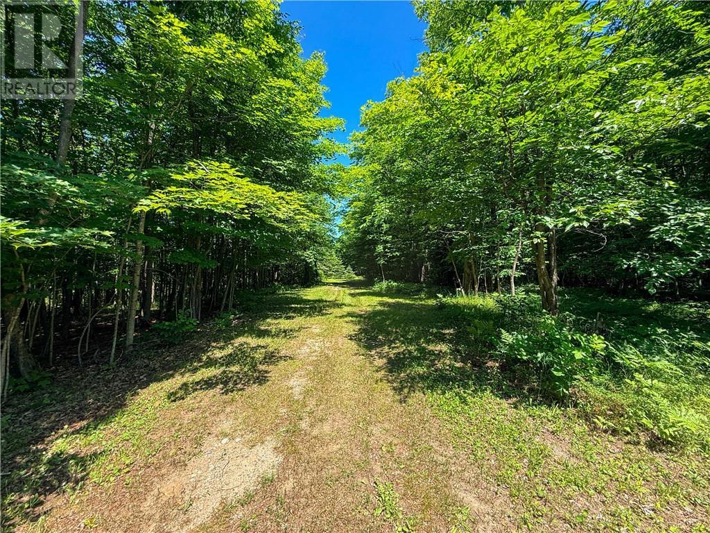 












N/A McArthur Trail

,
Gore Bay, Manitoulin Island,







Ontario
P0P1J0

