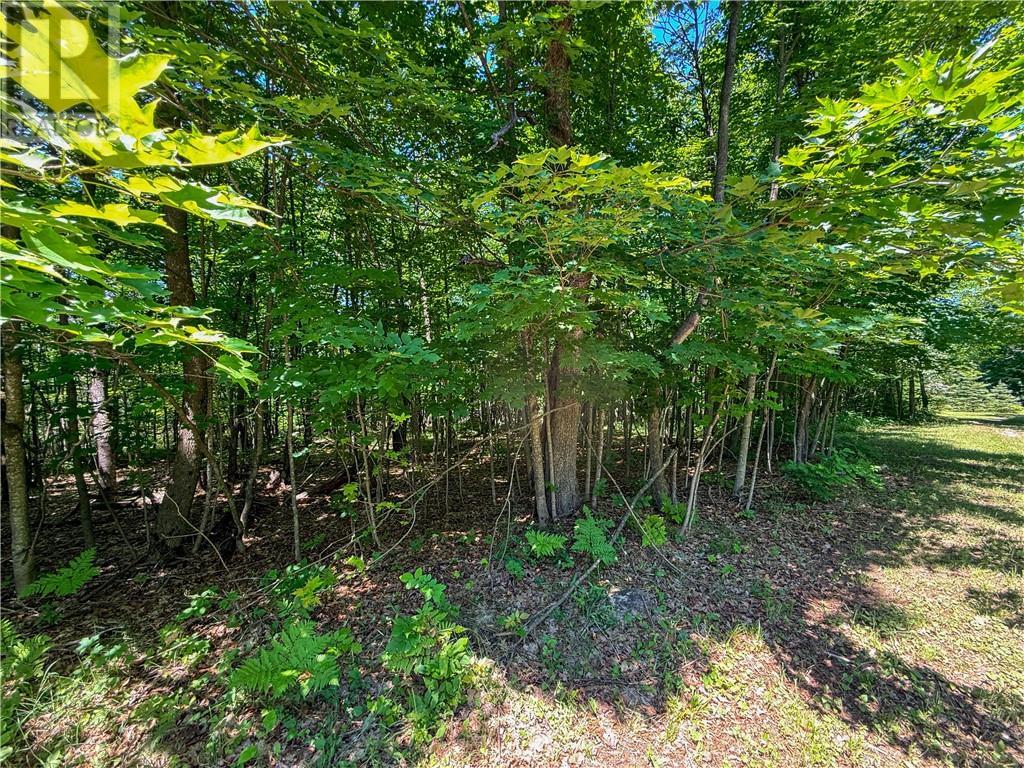 












N/A McArthur Trail

,
Gore Bay, Manitoulin Island,







Ontario
P0P1J0

