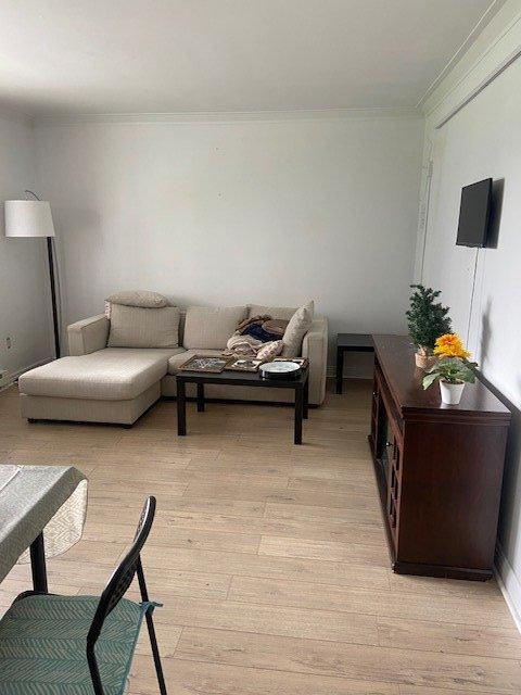 









7527


Ch. Earle

,
Côte-Saint-Luc,




QC
H4W1N8

