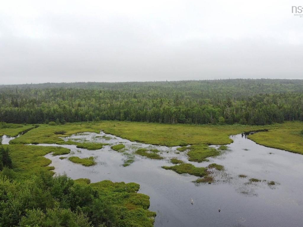 












51 Back Lake

,
Hatchet Lake,




NS
B3T 1R5

