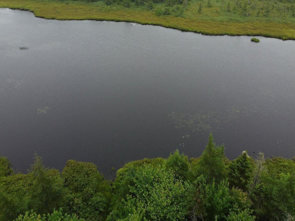 












51 Back Lake

,
Hatchet Lake,




NS
B3T 1R5

