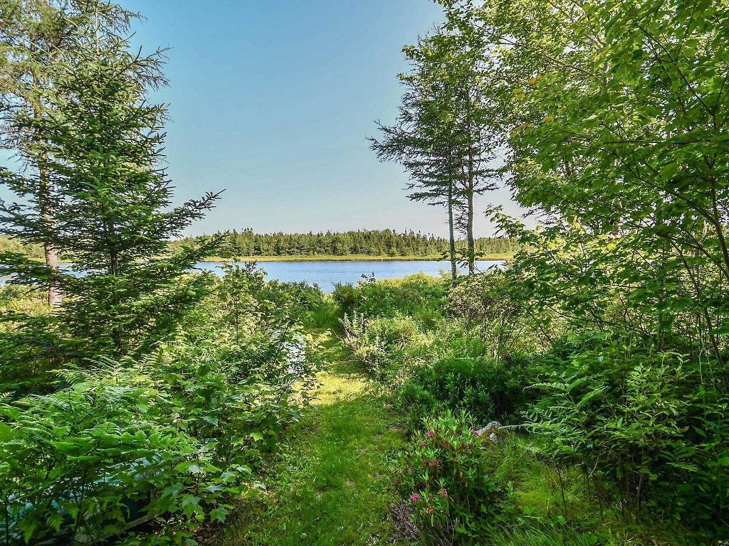 












51 Back Lake

,
Hatchet Lake,




NS
B3T 1R5

