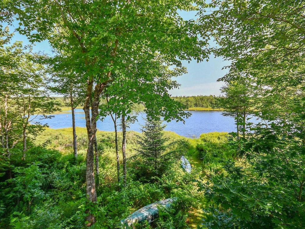 












51 Back Lake

,
Hatchet Lake,




NS
B3T 1R5

