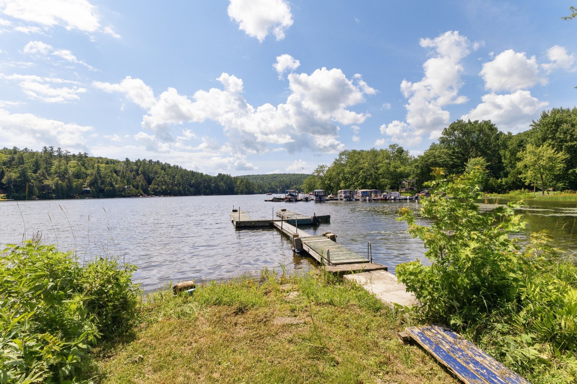 









46


Ch. de la Pépinière

,
Val-des-Monts,




QC
J8N5C4


