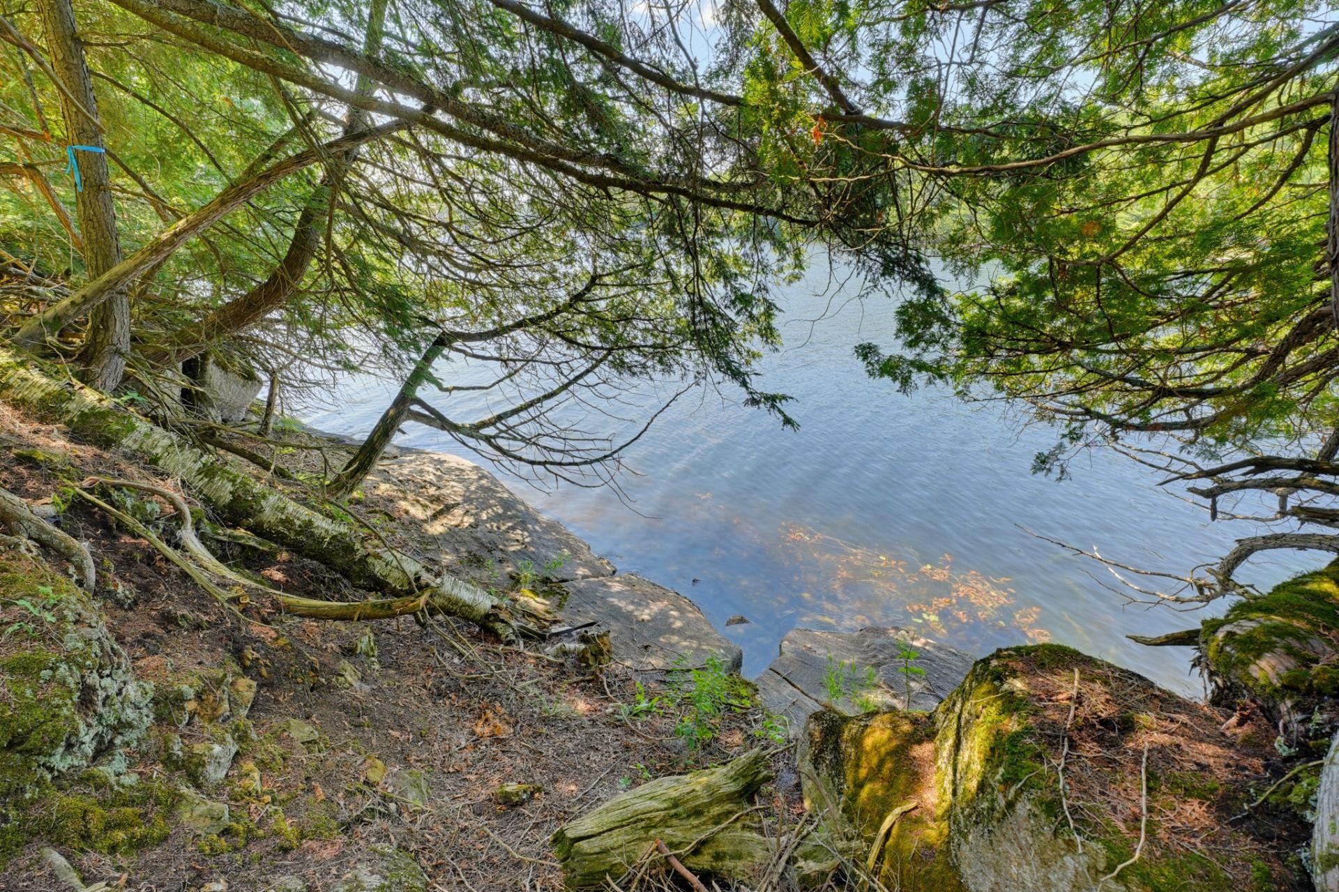 









182


Ch. Murray

,
La Pêche,




QC
J0X2W0

