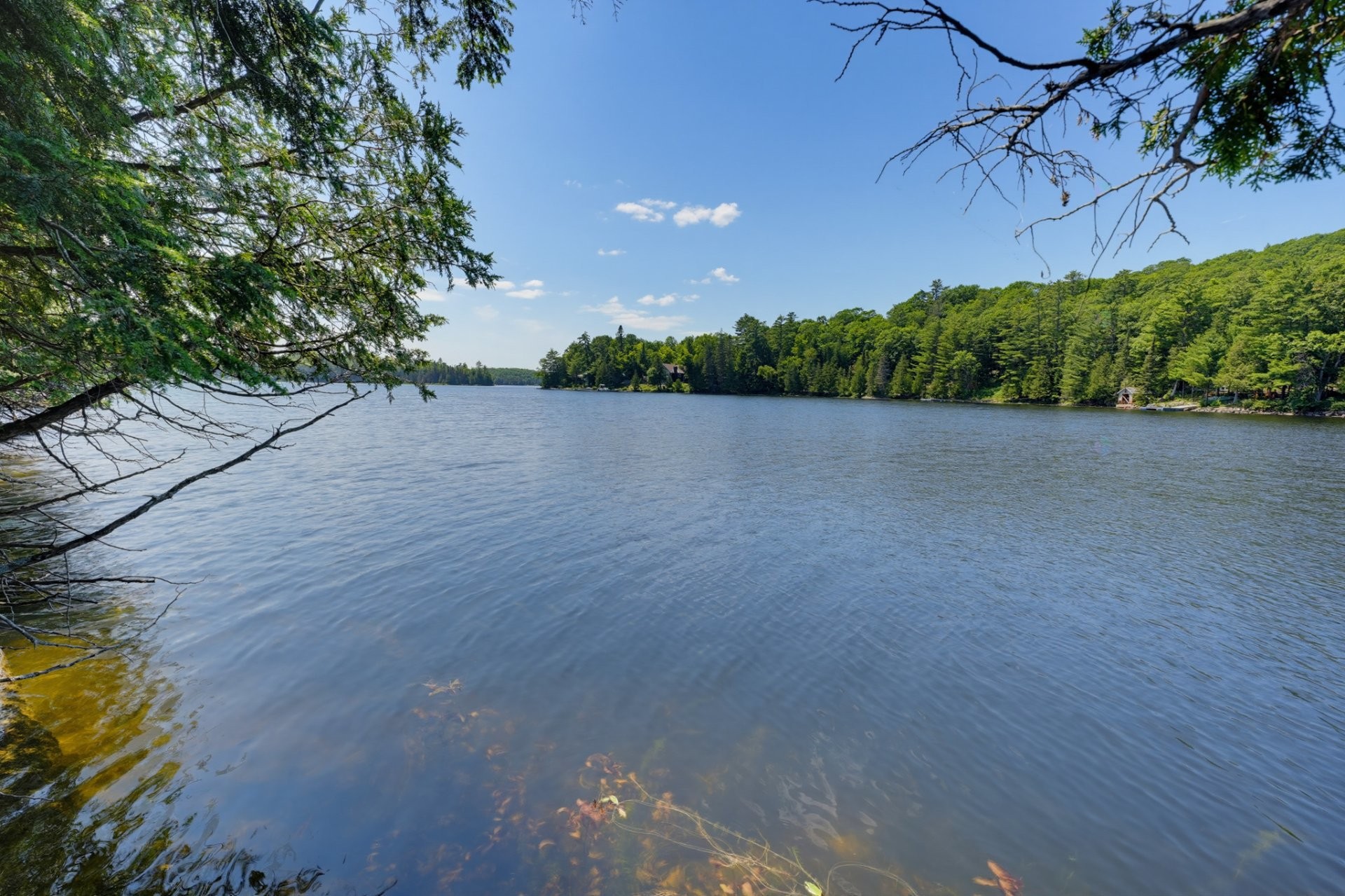 









182


Ch. Murray

,
La Pêche,




QC
J0X2W0

