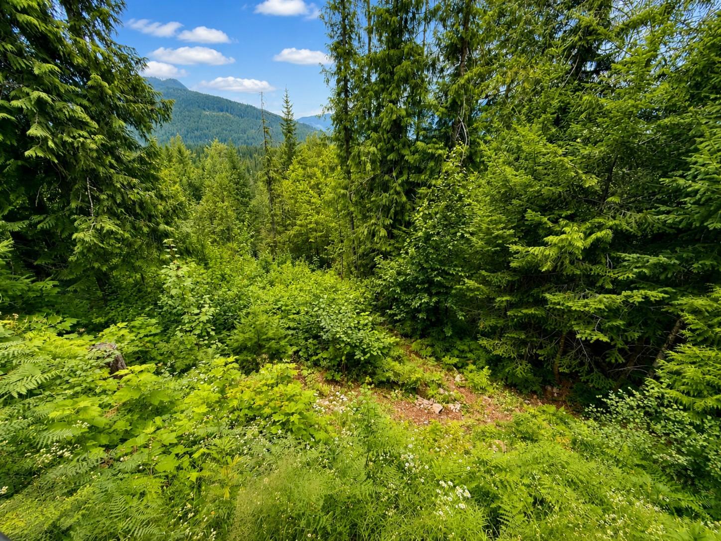 









87


Dolly Varden

Road,
Enderby,







BC
V0E 1V1

