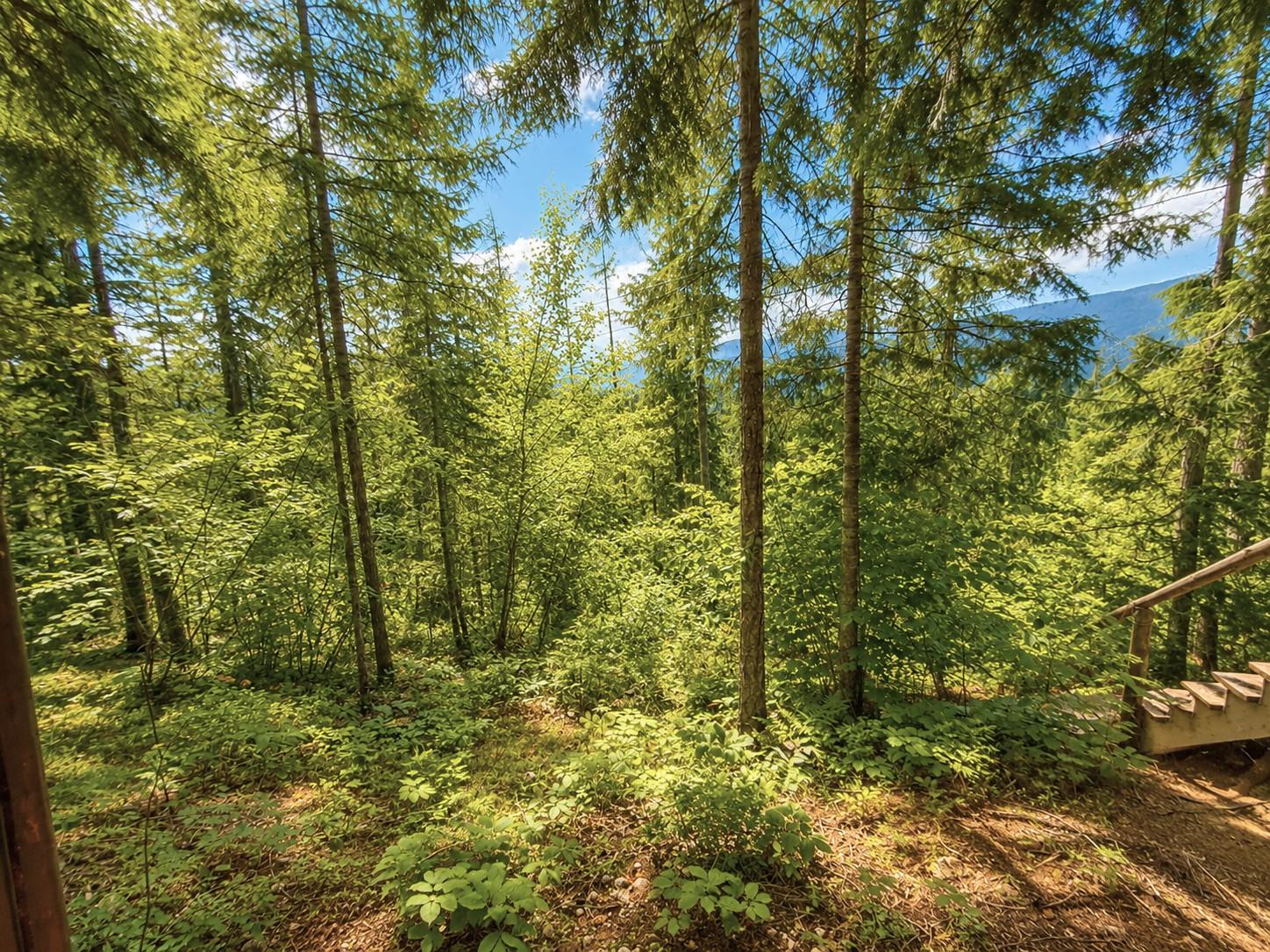 









87


Dolly Varden

Road,
Enderby,







BC
V0E 1V1

