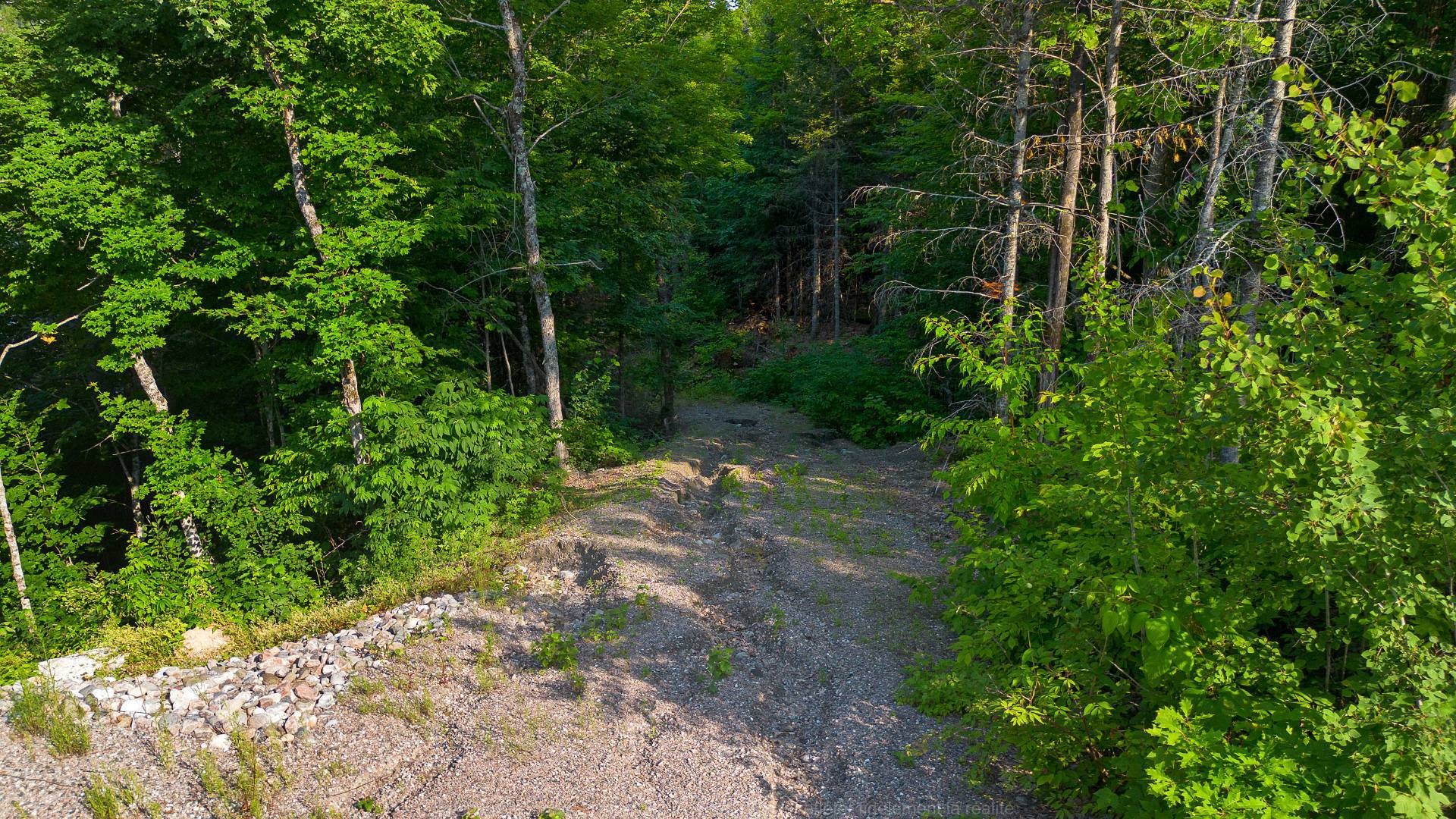 









538


Lacs Sauriol

,
Mansfield-et-Pontefract,







QC
J0X1R0

