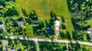 Overall view