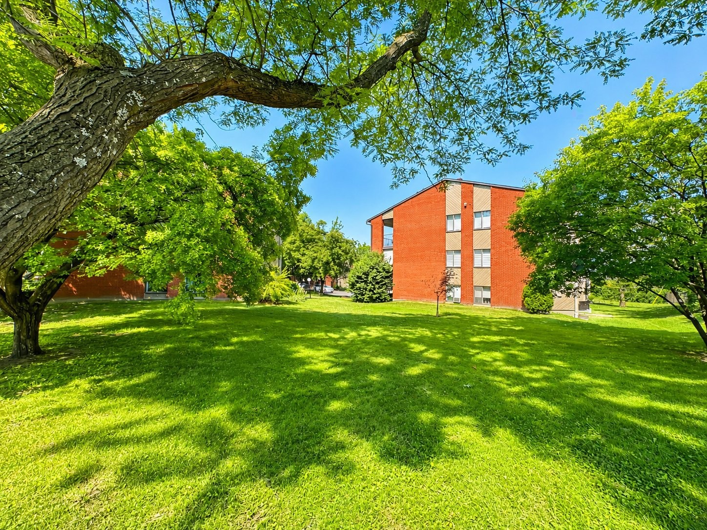 









516


Place Samuel-De Champlain

,
Boucherville,




QC
J4B6P7

