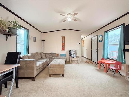 Vaulted Ceiling with Lots of Natural Light