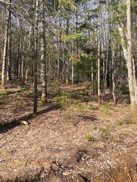 












Route 349

,
Saint-Didace,







QC
J0K2G0

