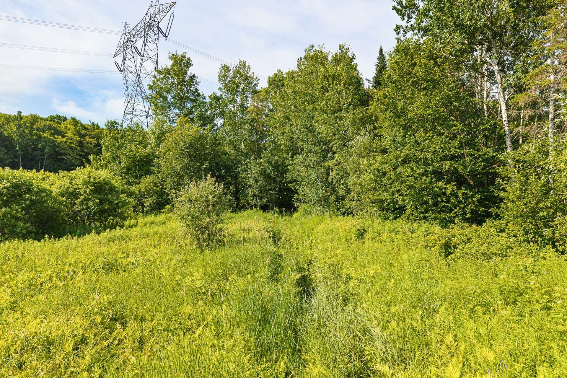 












Rue Plourde

,
Saint-Paulin,







QC
J0K3G0

