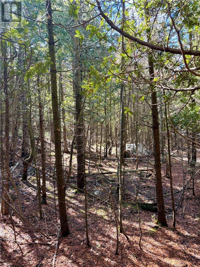 












Lot 12 Lake Huron Drive

,
Spring Bay, Manitoulin Island,







Ontario
P0P1S0

