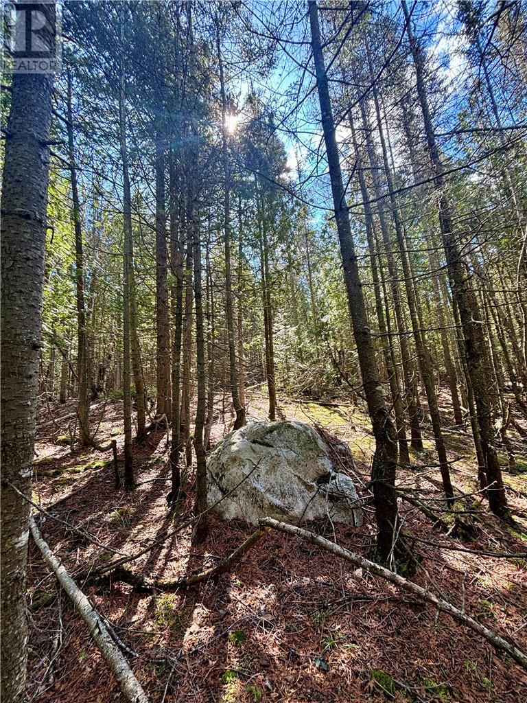 












Lot 12 Lake Huron Drive

,
Spring Bay, Manitoulin Island,







Ontario
P0P1S0

