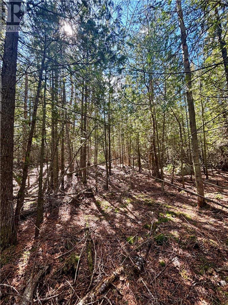 












Lot 12 Lake Huron Drive

,
Spring Bay, Manitoulin Island,







Ontario
P0P1S0

