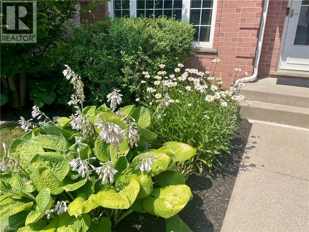 












119 MEADOWRIDGE Drive

,
St. Marys,




Ontario
N4X1A6

