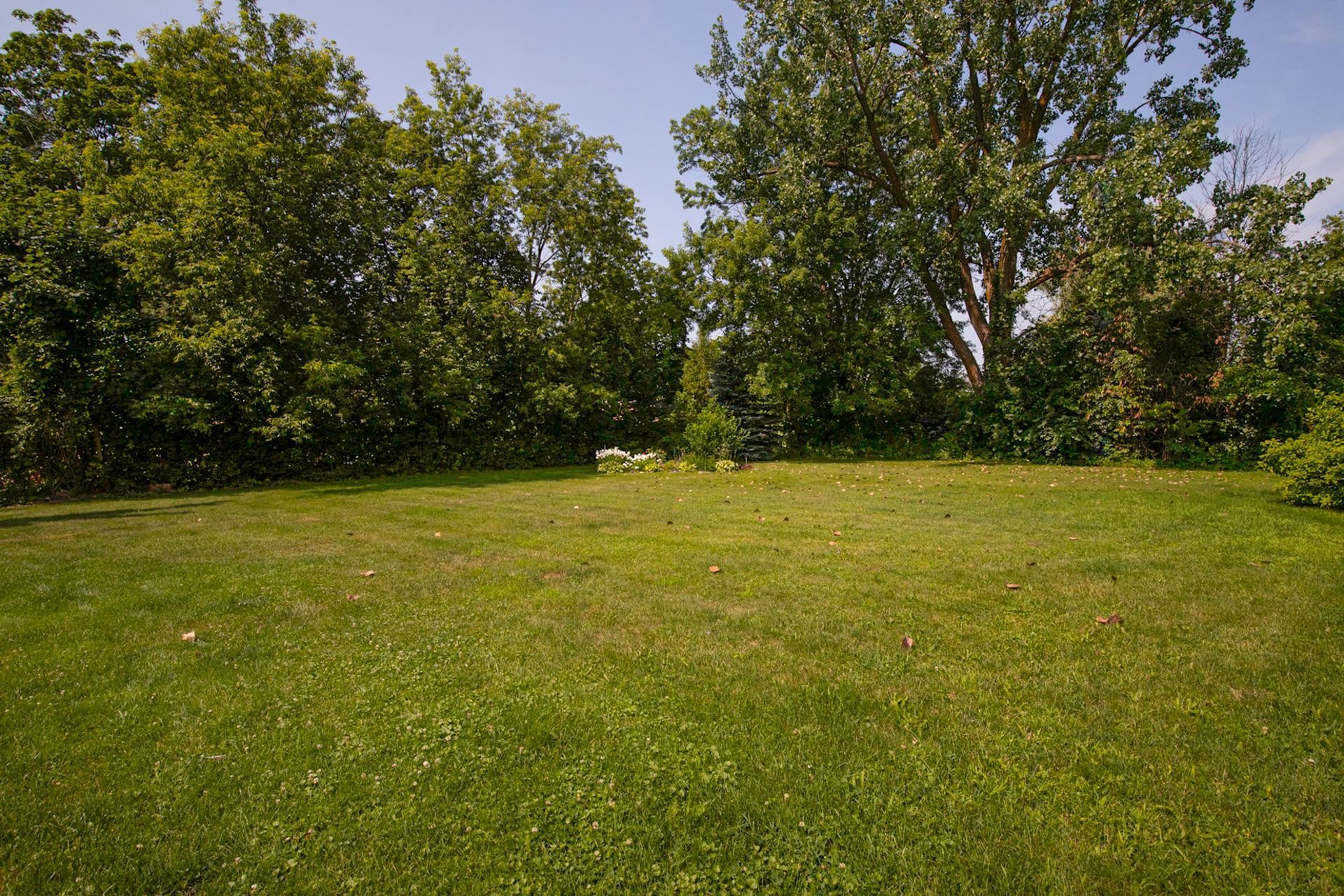 









385


Rue St-Pierre

,
Saint-Constant,




QC
J5A0M7

