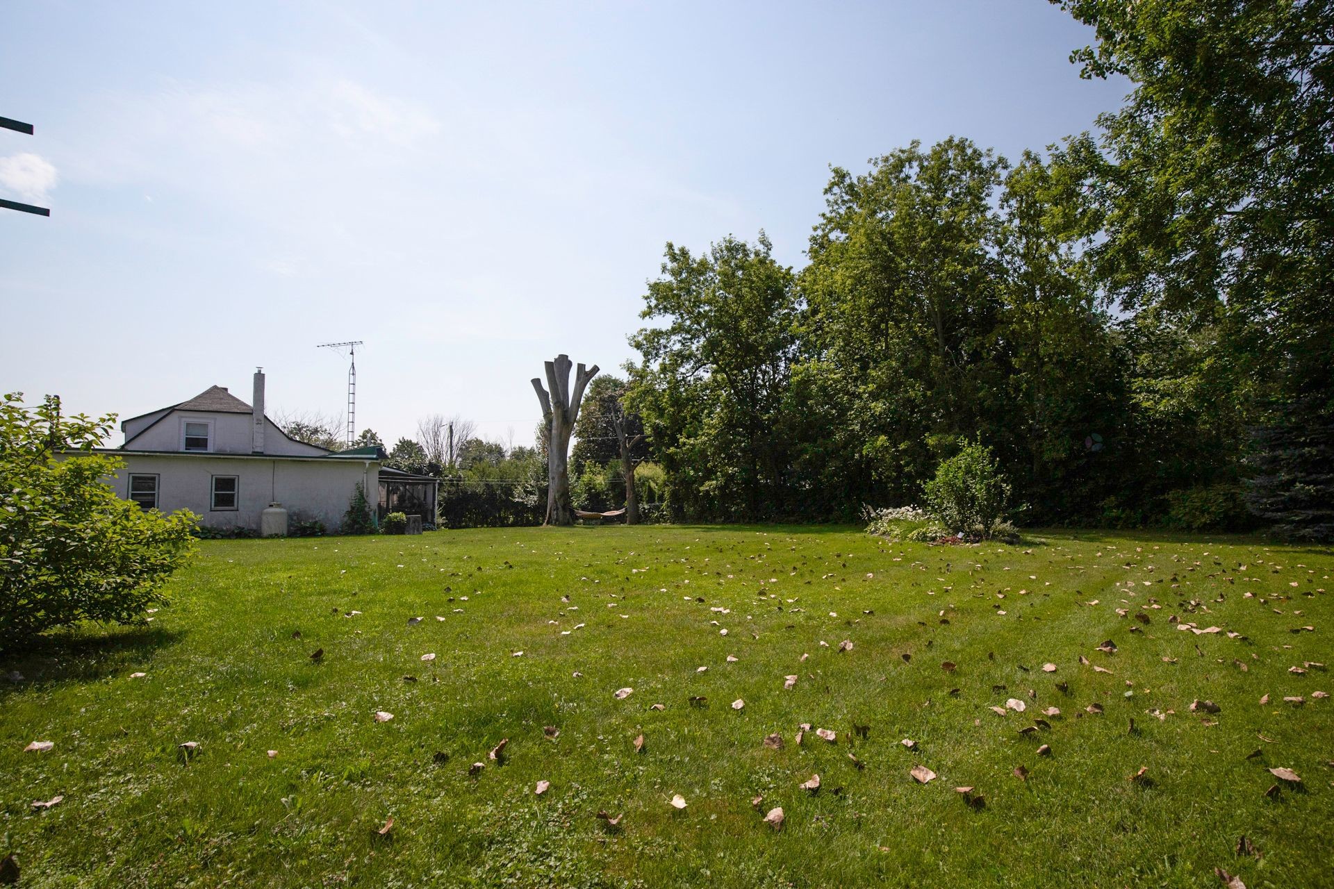 









385


Rue St-Pierre

,
Saint-Constant,




QC
J5A0M7

