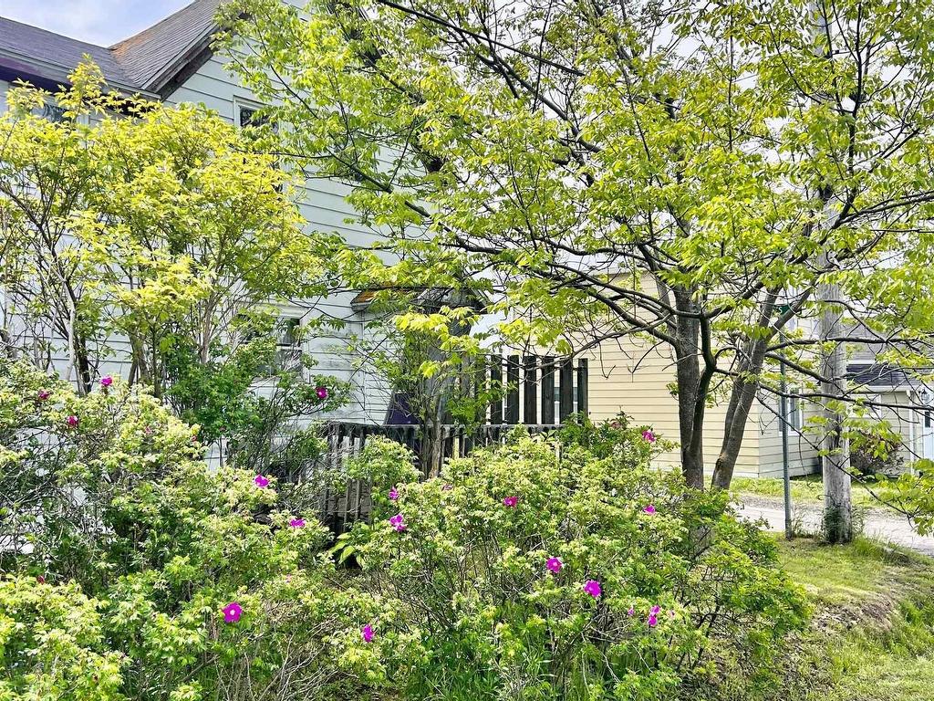 












16 Forest Street

,
Inverness,




NS
B0E 1N0

