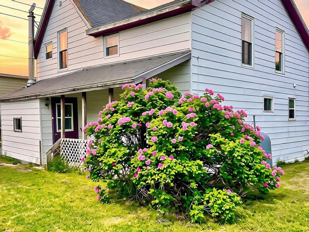 












16 Forest Street

,
Inverness,




NS
B0E 1N0

