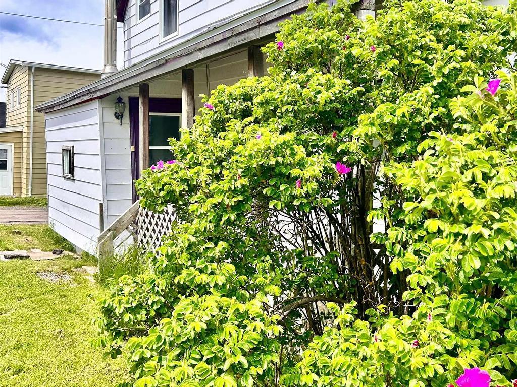 












16 Forest Street

,
Inverness,




NS
B0E 1N0

