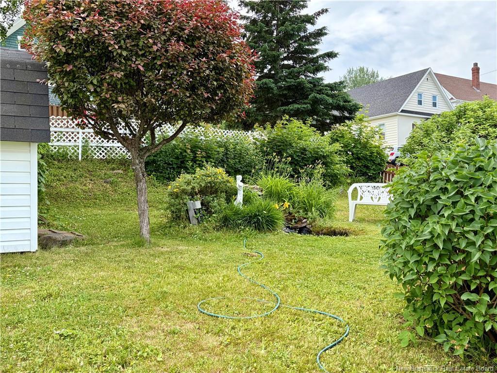 









510


Victoria

,
Dalhousie,




NB
E8C 2T2

