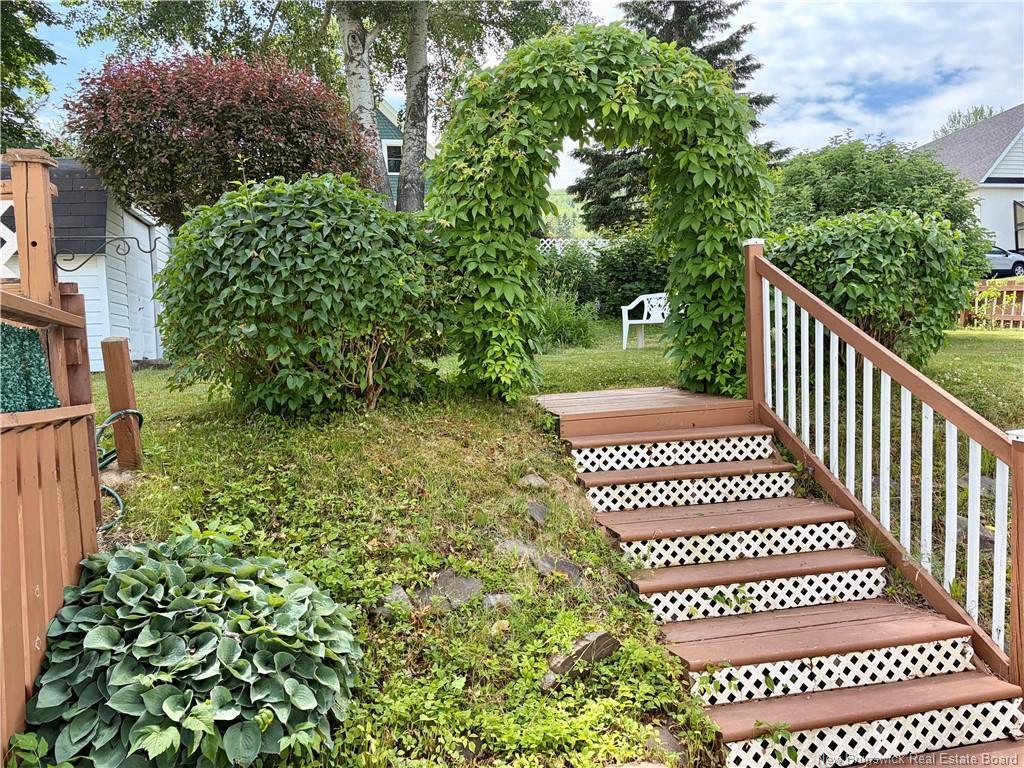 









510


Victoria

,
Dalhousie,




NB
E8C 2T2

