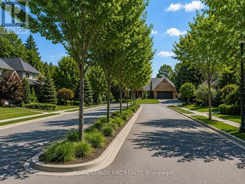 Treed Median Street