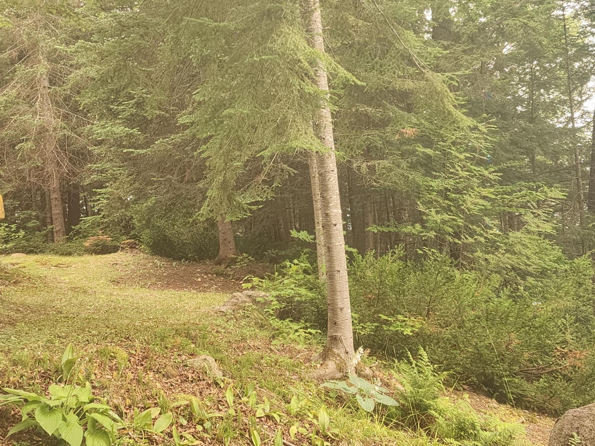 









987


Ch. du Fort

, D,
Val-des-Monts,




QC
J8N1A6

