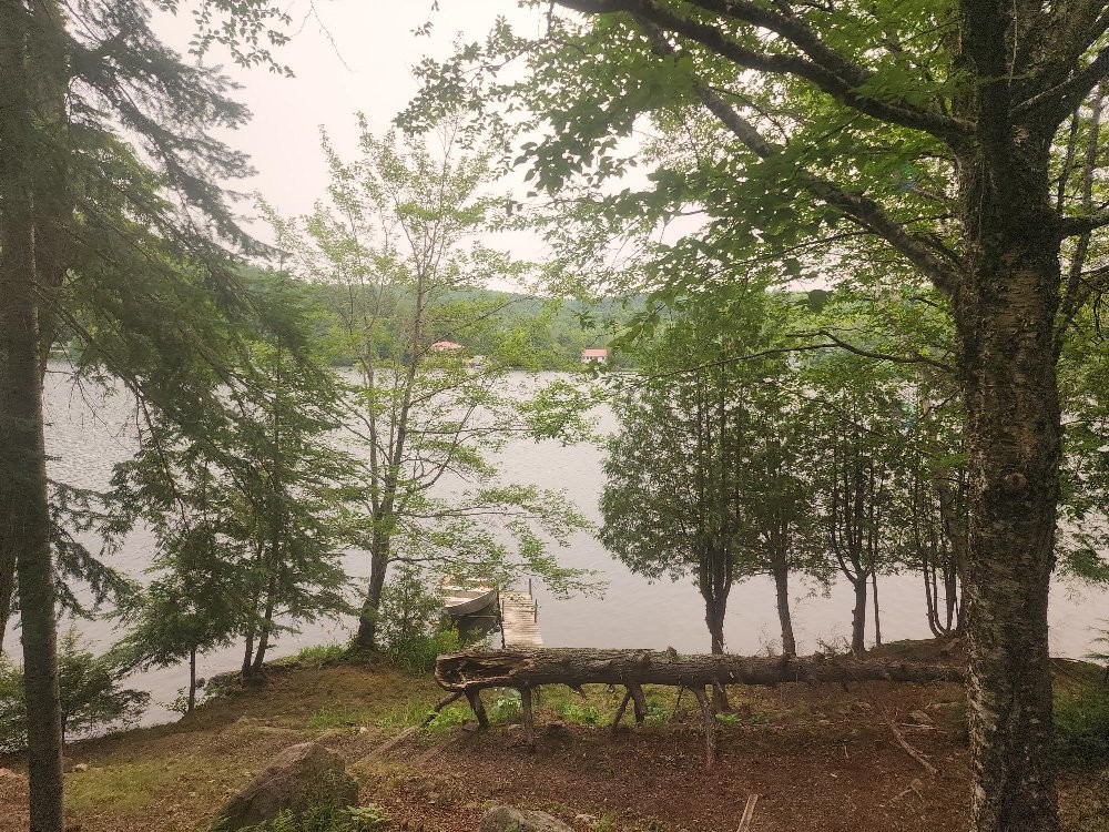 









987


Ch. du Fort

, D,
Val-des-Monts,




QC
J8N1A6

