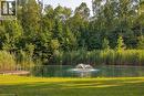 Private pond with water feature, surrounded by mature trees and lush vegetation
