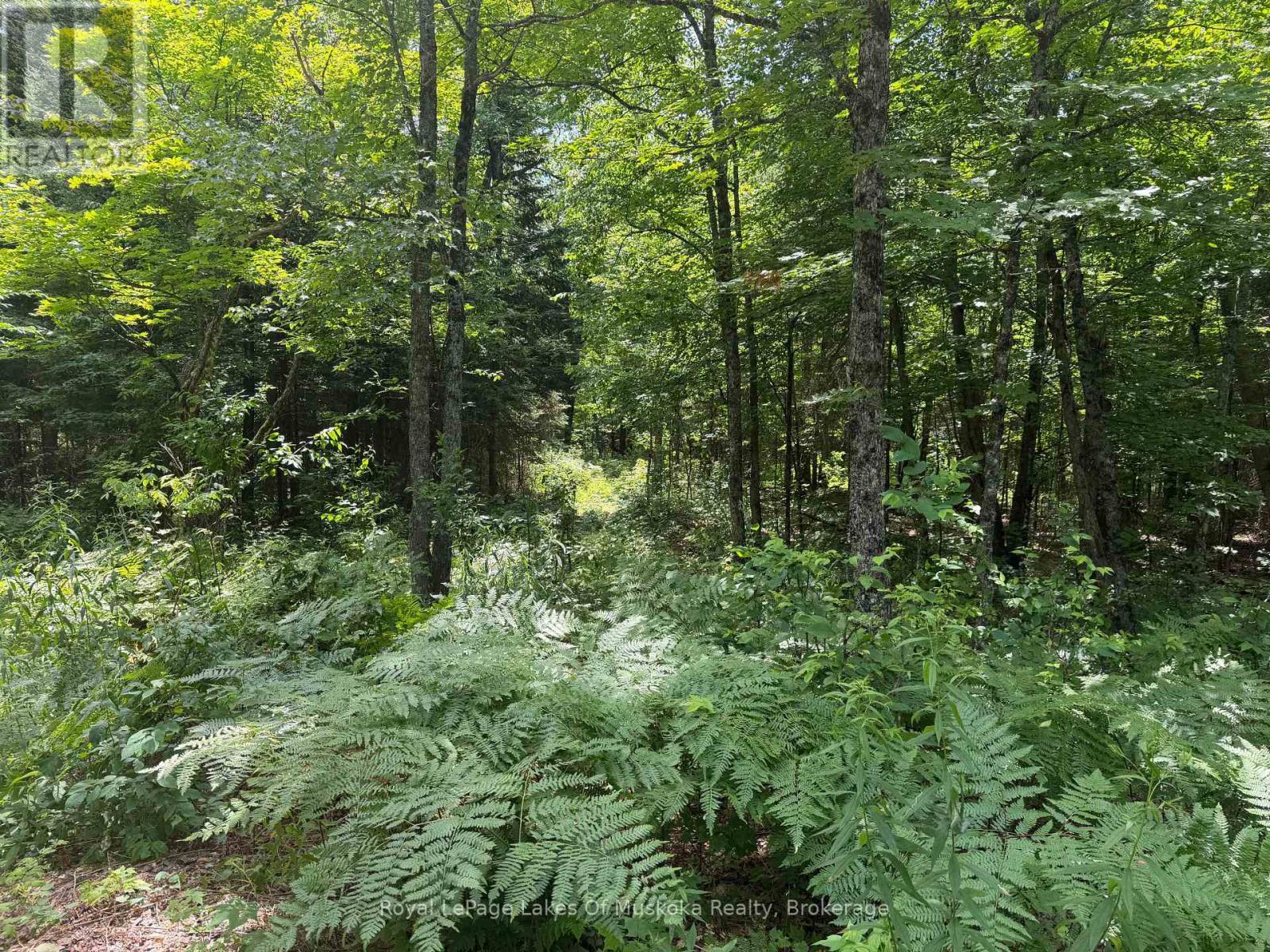 












0 AXE LAKE ROAD

,
McMurrich/Monteith (Monteith),




Ontario
P0A1X0


