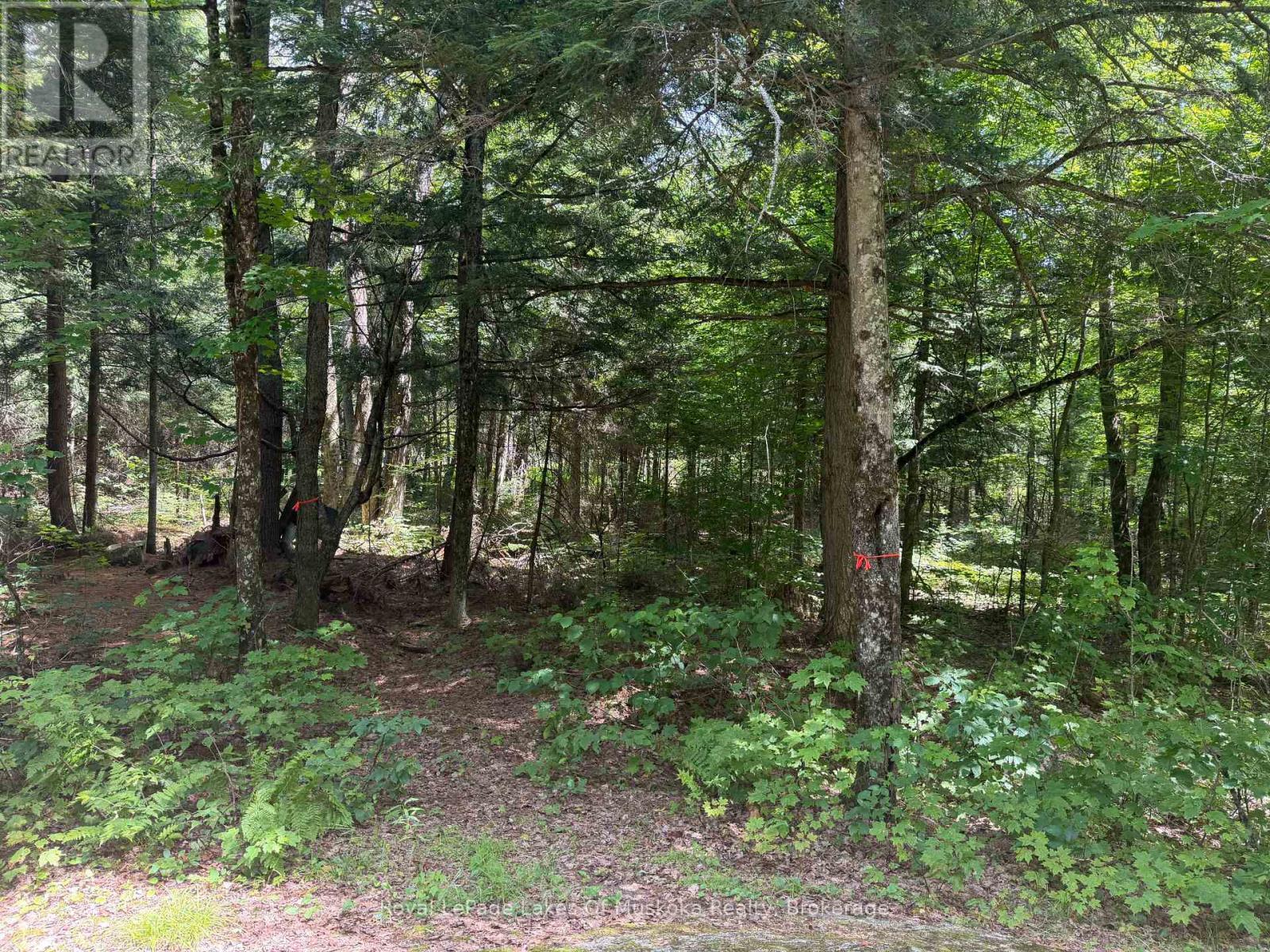 












0 AXE LAKE ROAD

,
McMurrich/Monteith (Monteith),




Ontario
P0A1X0

