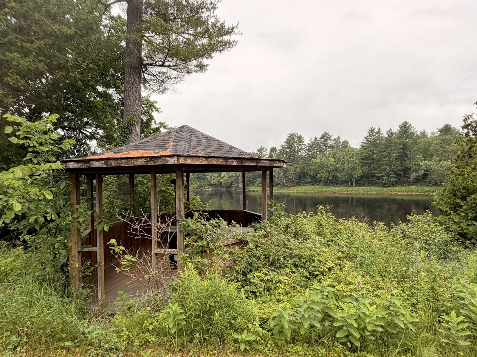 









103


Ch. de Point Comfort

,
Gracefield,







QC
J0X1W0

